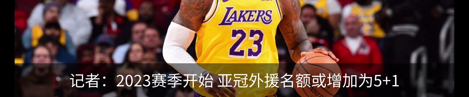 新闻动态