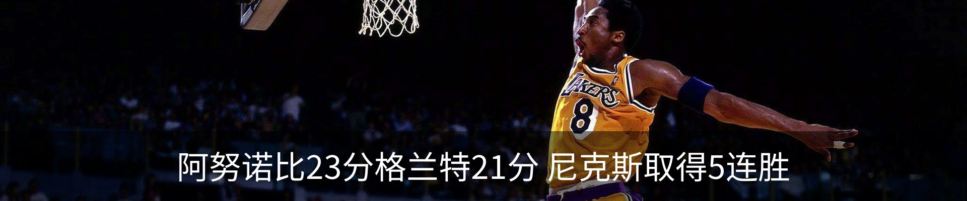 新闻动态